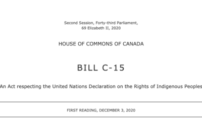 Take Action on Bill C-15