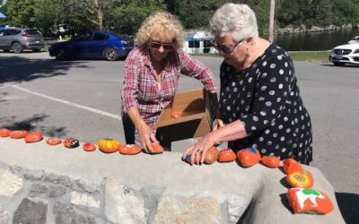 215+ Children Taken Art Installation Moves Back to Bobcaygeon